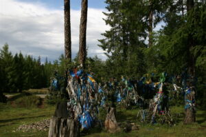 Tuva posvatne stromy